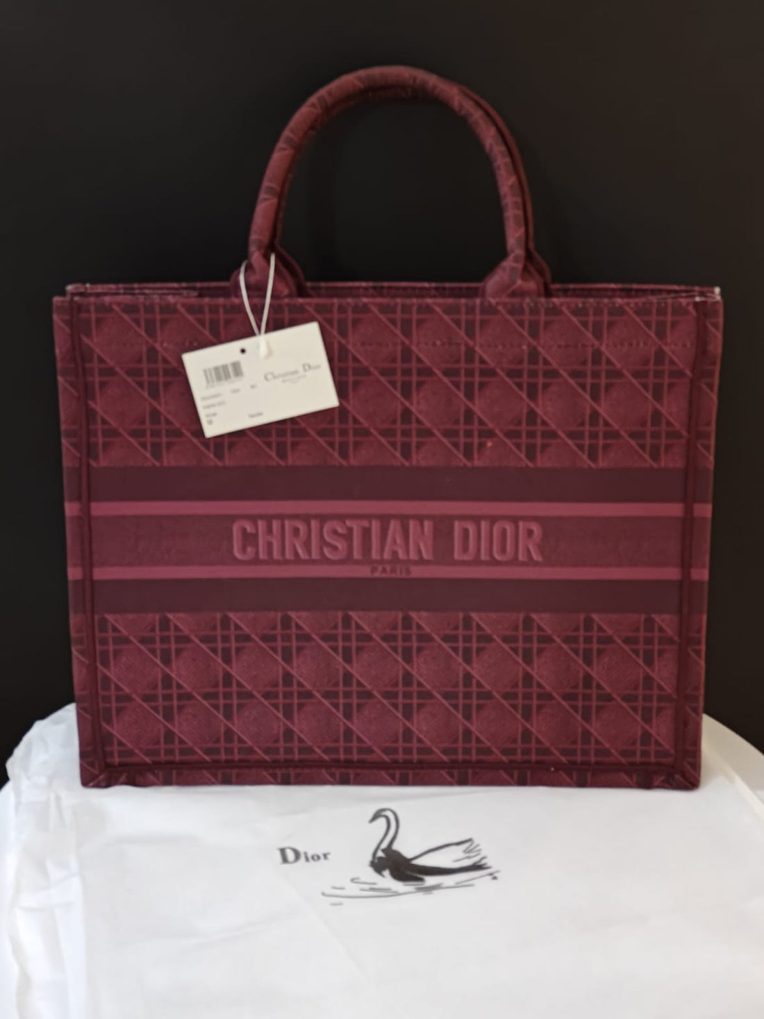 DIOR BOOK TOTES