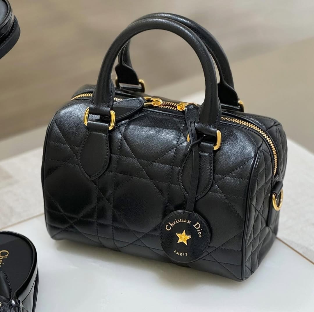 DIOR GROOVE OBLIQUE SPEEDY BAGS