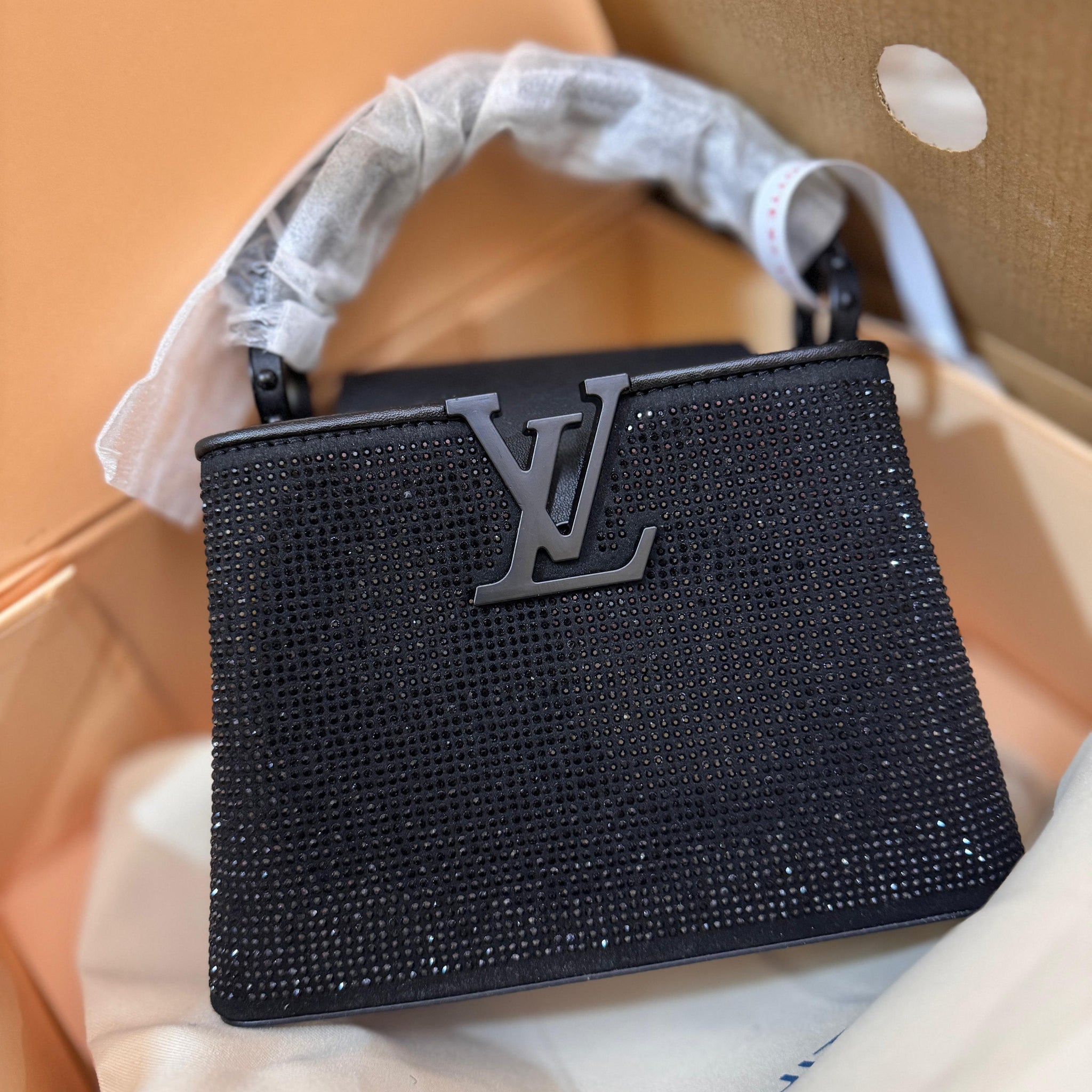 LOUIS VUITTON GLITTERY CAPPUCINES
