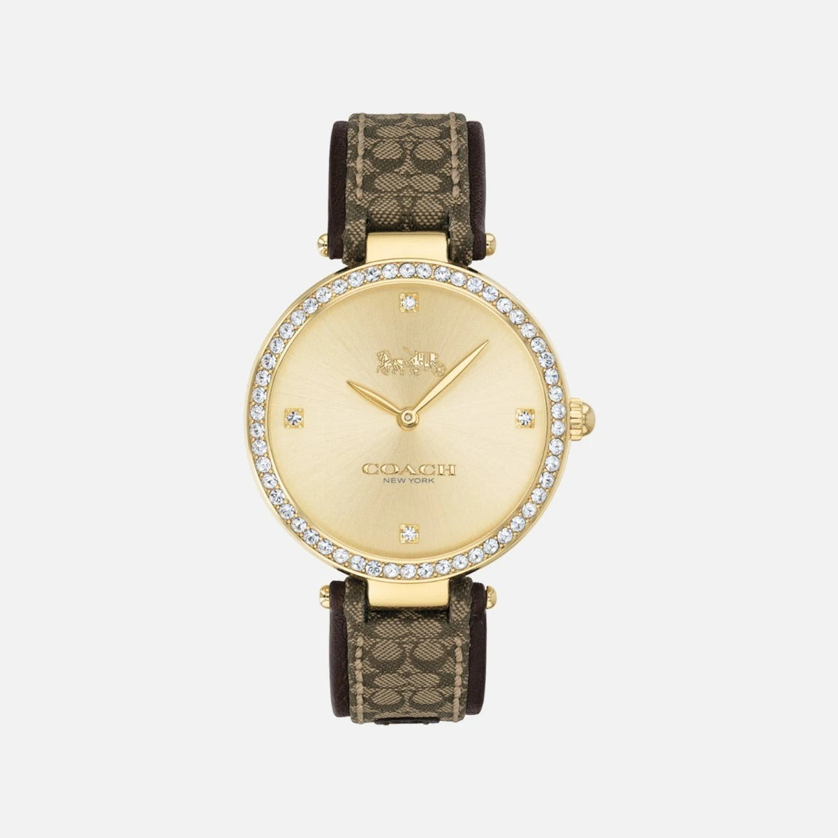 Coach Park Watch