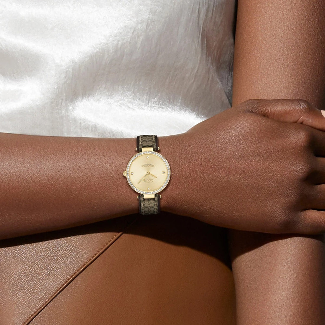 Coach Park Watch