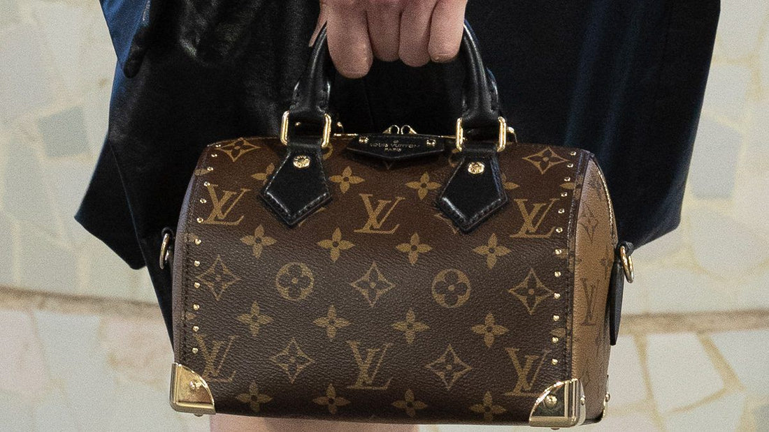 LOUIS VUITTON CRUISE SPEEDY BAG