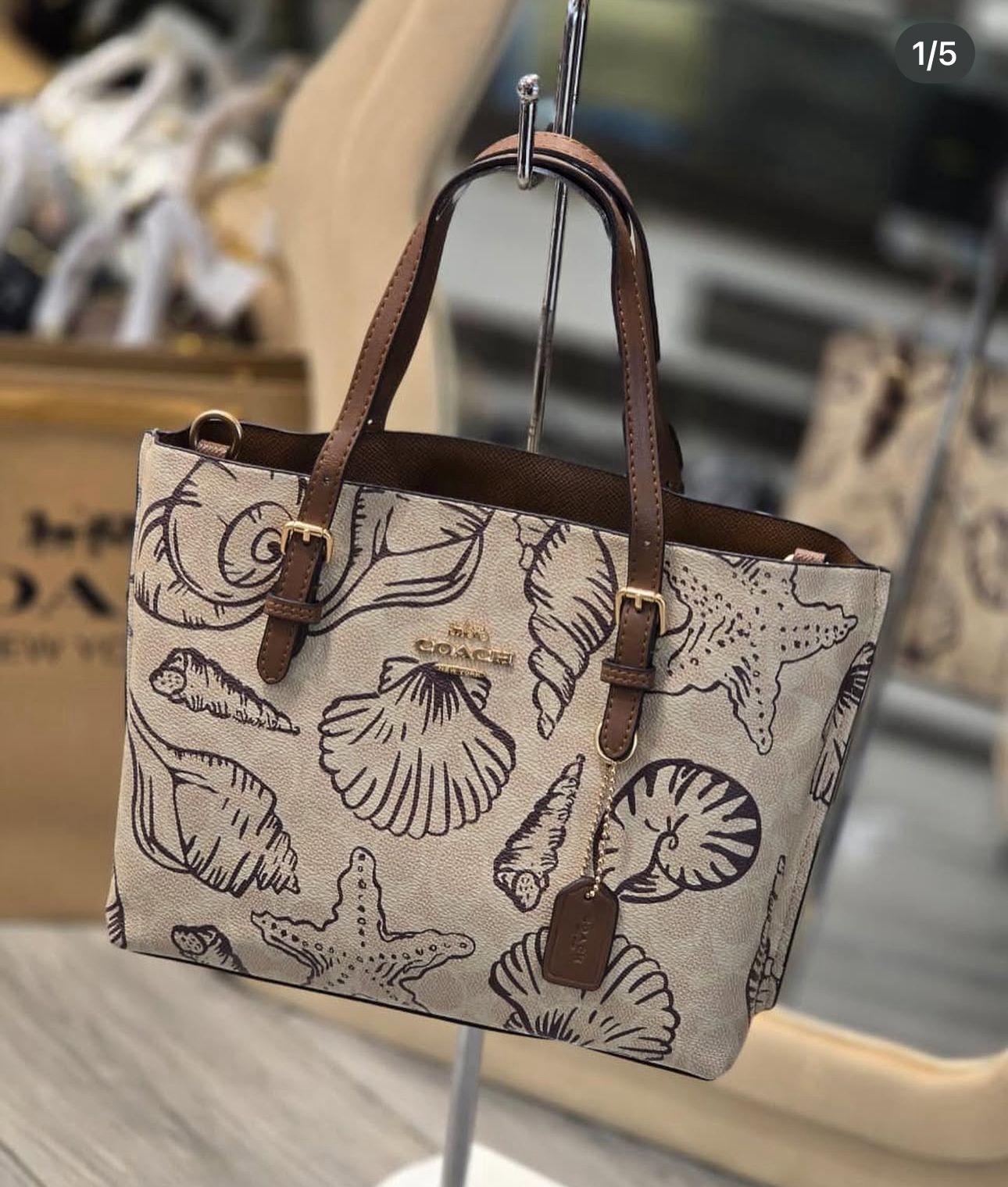 COACH MOLLIE SHELL EDITION