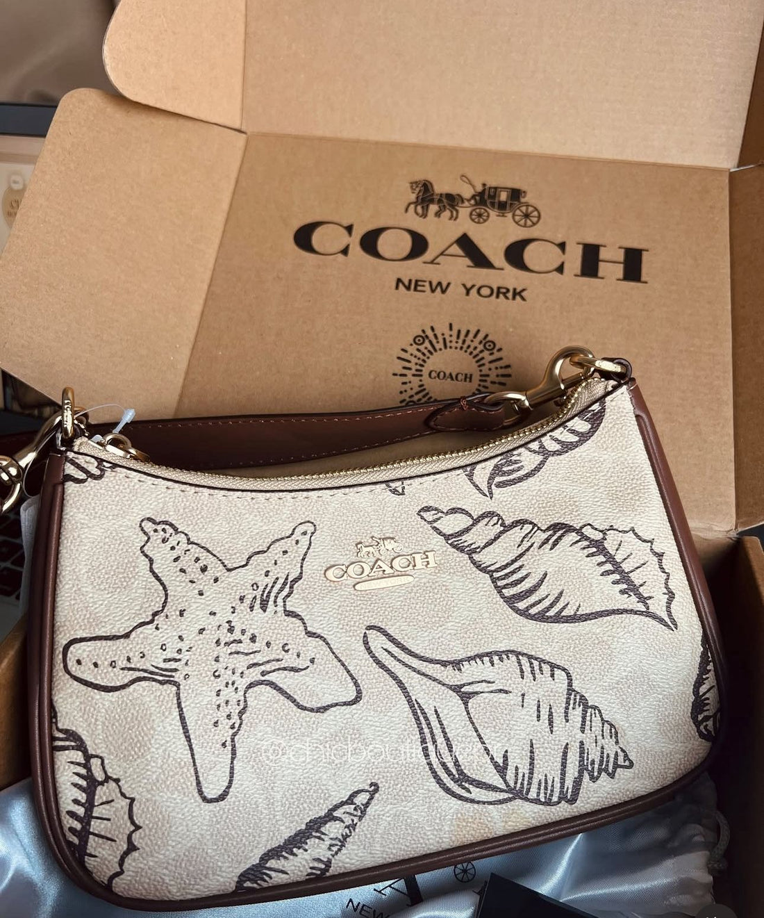 COACH TERI SHELL SERIES
