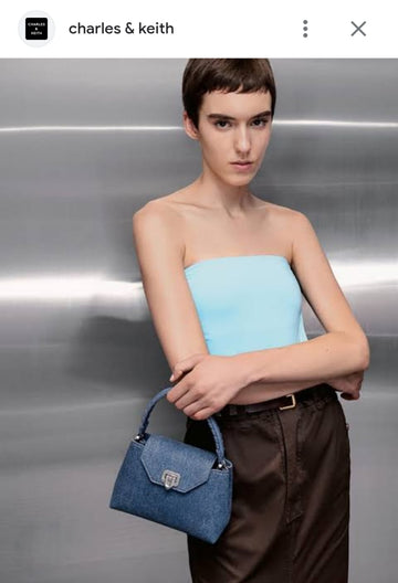 Charles & Keith Arwen Top Handle Bags